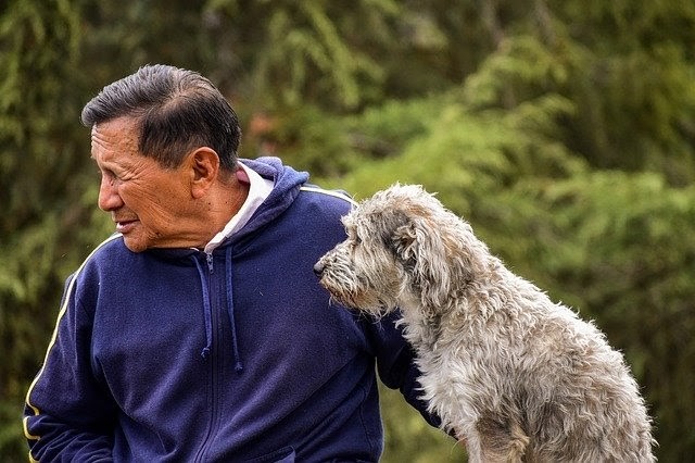 How Seniors Can Care For Pets While In Assisted Living